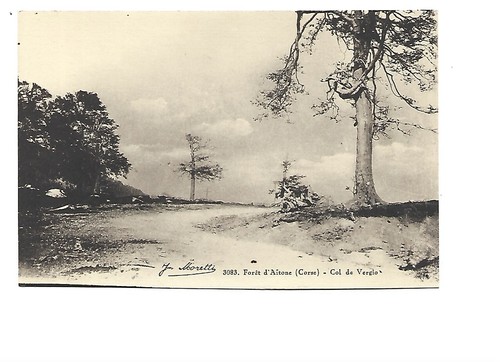 Foret aitone col de - ,